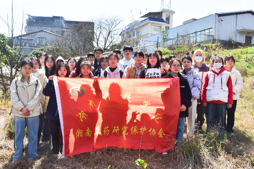 图片5 图片5