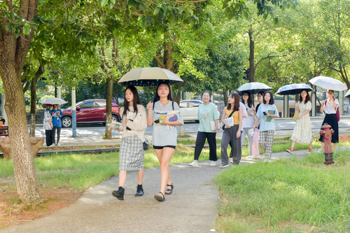DSC_1610 DSC_1610