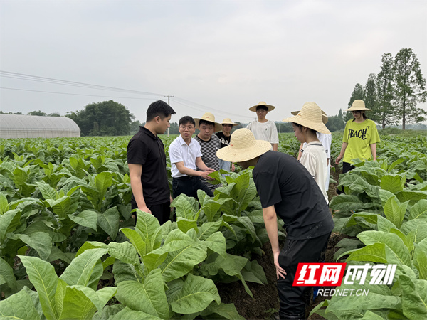 微信图片_202505061657171.jpg 微信图片_202505061657171.jpg