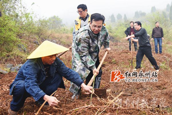 beat365平台官方网站党委书记陈弘与潮水铺村村支书一同种下金槐树苗